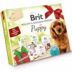 Brit Box Dog Puppy Egészséges és finom 2023