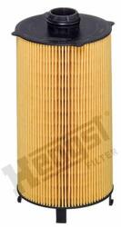 Hengst Filter Filtru ulei HENGST FILTER E904H D437 (E904H D437) - automobilus