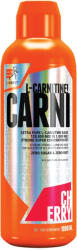 EXTRIFIT Carni Liquid 120, 000 mg - Carni Liquid 120, 000 mg (1000 ml, Cireșe)