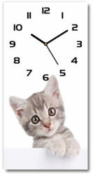 Wallmuralia. hu Négyszögletes fali üvegóra Szürke macska fekete 30x60 cm