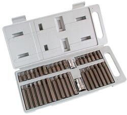 Extol EXTOL bit klt. , műanyag dobozban; CV. , 40db-os, hatlap(H4-H12), XZN(Spline, TT5-TT12) és TORX (T20-T55), adapter 3/8" és 1/2 (6640)
