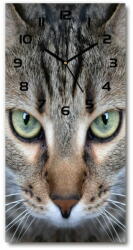 Wallmuralia. hu Négyszögletes fali üvegóra Macska szemek fekete 30x60 cm
