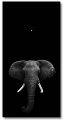 Wallmuralia. hu Négyszögletes fali üvegóra Afrikai elefánt fekete 30x60 cm