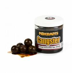 MIKBAITS Gangster g2 bojli in dip 20 mm (g-8-2) - sneci