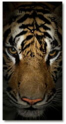 Wallmuralia. hu Téglalap alakú üvegóra Tigris fekete 30x60 cm