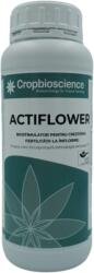 Cropbioscience Biostimulator ecologic cu polifenoli pentru inflorire si fructificare Actiflower, 0.5 L (HCTS02031)