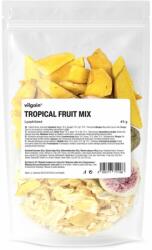 Vilgain Amestec de fructe tropicale liofilizate 45 g