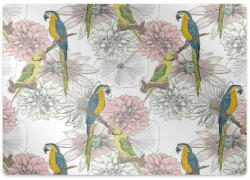 Decormat Padlóvédő székalátét Papagáj és virágok fi 100 cm -