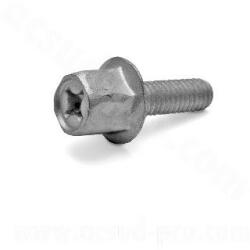  TNT Original kipufogó csavar (M6x18mm - 1db)
