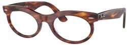 Ray-Ban RB2242V 2144 Rama ochelari