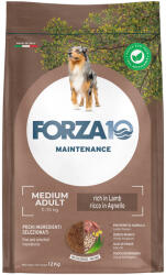 FORZA10 2x12kg Forza 10 Medium Maintenance bárány & rizs száraz kutyatáp
