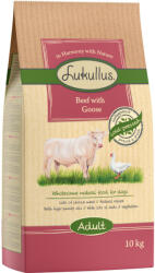 Lukullus Lukullus Preț special! Adult hrană uscată sau umedă câini - 10 kg Vită & gâscă (hrană uscată)