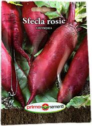 Prima Sementi Seminte sfecla rosie Cilyndra 5 gr, Prima Sementi (3046-8012214200840)