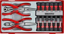 Teng Tools șurubelniță de precizie și clești, un set de 16-elementowyTTMI16 (104450101) (104450101) Trusa unelte