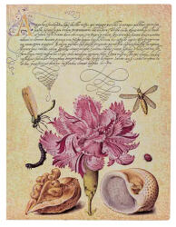  Paperblanks butikkönyv, Softcover Flexis, Ultra, sima, Pink Carnation (FB9726-6)