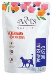 4Vets NATURAL 4Vets Cat Natural Veterinary Exclusive GASTRO INTESTINAL 85 g