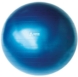 Yate Gymball 65 cm Culoare: albastru Minge fitness