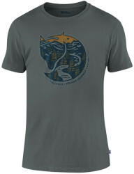 Fjall Raven Arctic Fox T-shirt M Mărime: M / Culoare: albastru/gri