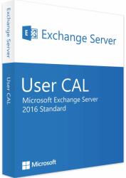 Microsoft Exchange Server 2016 Standard 1 User CAL (381-04398)