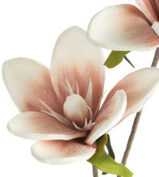 Magnolia művirág 748 Rózsaszín
