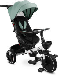 Toyz By Caretero Tricicleta cu maner parental si scaun reversibil Toyz DASH