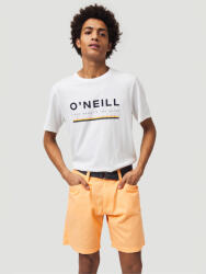 O'Neill Roadtrip Pantaloni scurți O'Neill | Portocaliu | Bărbați | 29
