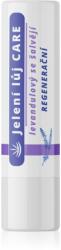 Regina Care Lavender regeneráló szájbalzsam 4, 5 g