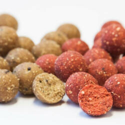 SBS Soluble Eurobase Ready-made Bojli 24mm/1kg - Sweetcorn (sbs70091)