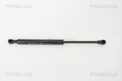TRISCAN Amortizor portbagaj TRISCAN 8710 65209 (8710 65209) - automobilus