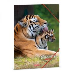Ars Una Serenity állatos gumis mappa - A4 - tigris (50213320) - lurkojatek