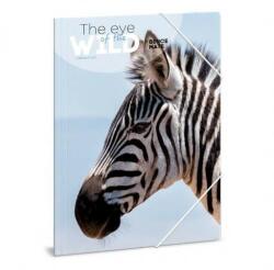 Ars Una The Eyes of the Wild gumis mappa - A4 - Zebra (50212156) - lurkojatek