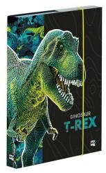 Oxybag T-REX dinoszauruszos füzetbox - A5 - OXY BAG (IMO-KPP-1-69224)