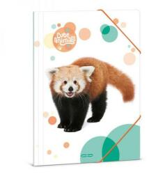 Ars Una Cuki állatok gumis mappa A4 - Ars Una - vörös panda (50213092) - lurkojatek