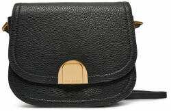 Ted Baker Geantă Imilda 273866 Negru