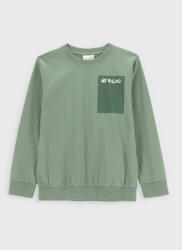 Coccodrillo Bluză ZC2143103FTJ Verde Regular Fit