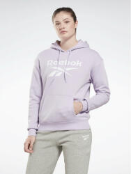 Reebok Bluză Identity Big Logo H54746 Violet Loose Fit