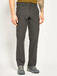 The North Face Pantaloni outdoor Exploration NF00CL9R Gri Regular Fit