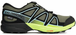 Salomon Pantofi pentru alergare Speedcross Climasalomon Waterproof L47278900 Verde