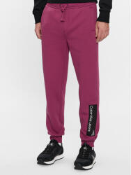 Calvin Klein Jeans Pantaloni trening J30J324053 Violet Regular Fit