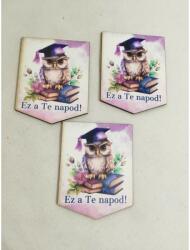  Ez a Te napod! fa tábla