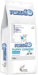FORZA10 Active Line Dog 2x10kg Forza10 Active Line Puppy Condro Active száraz kutyatáp