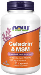 NOW Celadrin & MSM 500 mg (120 Capsule)