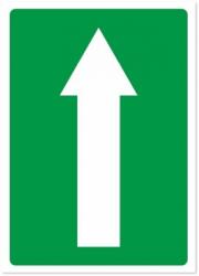  Indicator Evacuare sageata sus, 105x148mm ISA6SES