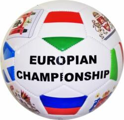  Vektory Focilabda Europian Championship felirattal (735902)