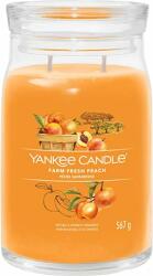Yankee Candle Yankee Candle, Lumanare cu piersici de ferma proaspata intr-un borcan de sticla, 567 g (NW3500503)