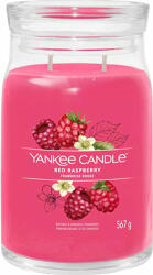 Yankee Candle Yankee Candle, Lumanare cu zmeura rosie intr-un borcan de sticla 567 g (NW3499265)