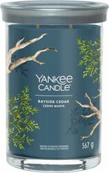 Yankee Candle Yankee gyertya, tengerparti cédrus, gyertya üveghengerben 567 g (NW3499333)