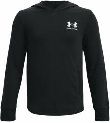 Under Armour Bluză UA Rival Terry Hoodie 1377251 Negru Relaxed Fit