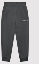 adidas Pantaloni trening Adventure HE2067 Negru Regular Fit