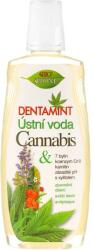 Bione Cosmetics Agent de clătire pentru cavitatea bucală - Bione Cosmetics Dentamint Mouthwash Cannabis 500 ml